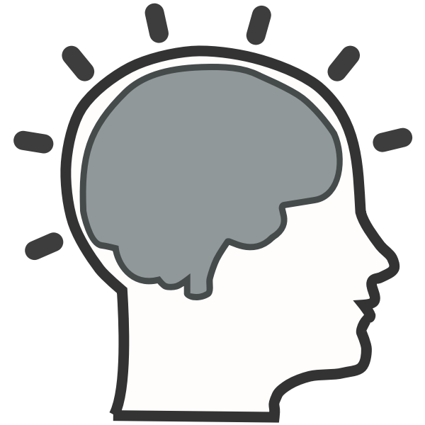 human brain