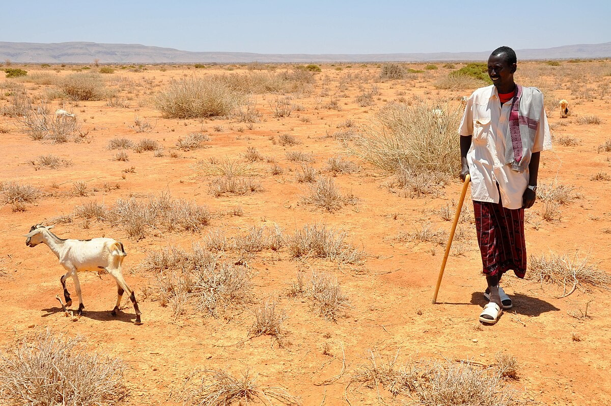 East Africa hit by drought