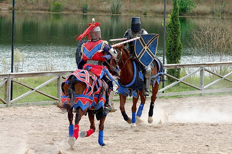 Medieval joust