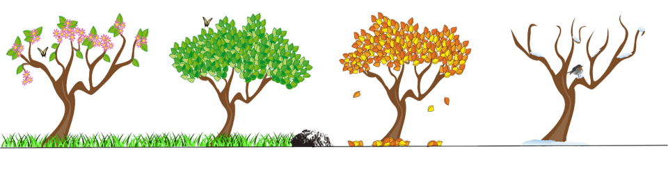 seasons