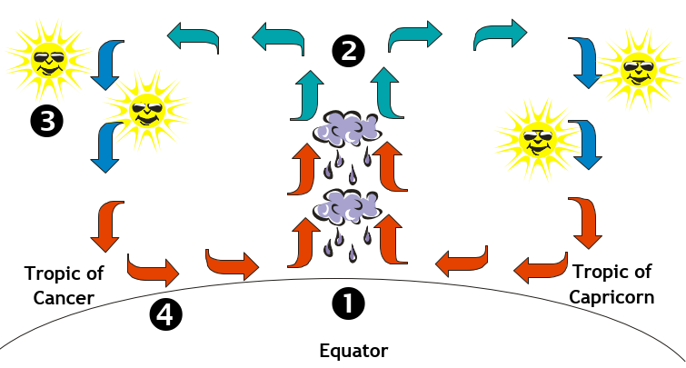 How subtropical deserts develop
