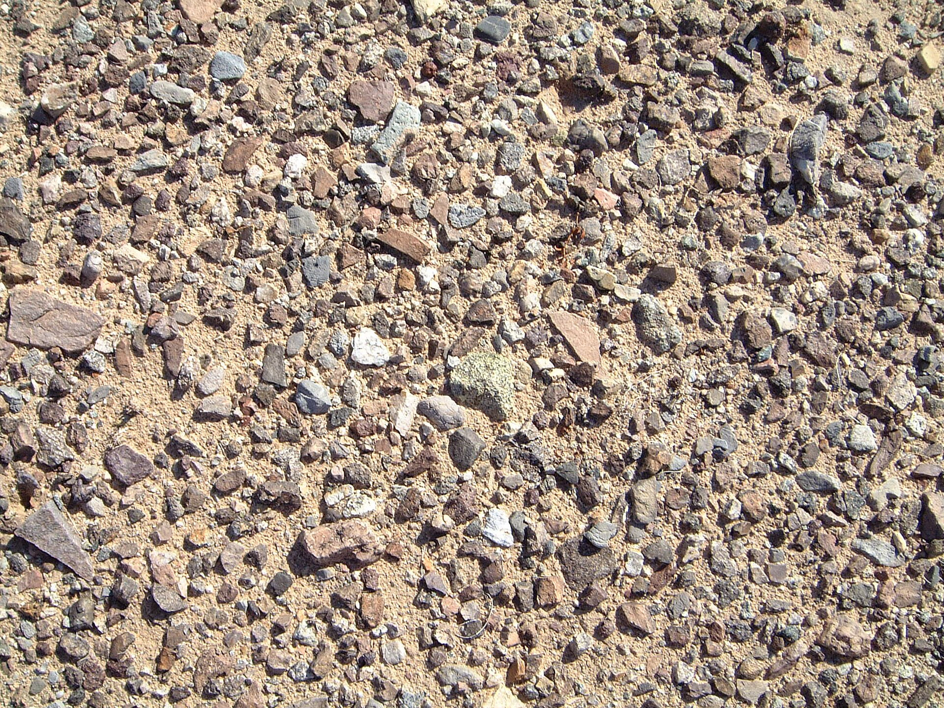 rocky desert floor in the Mojave desert