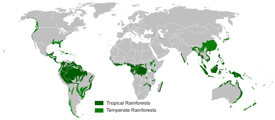 Rainforests of the world